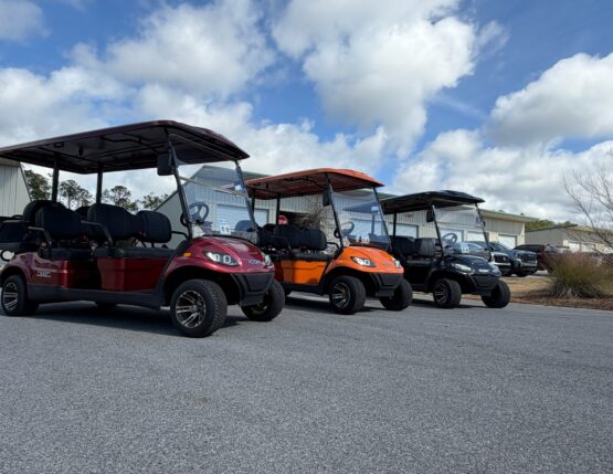 rmfholding-development-platform-7 golf cart rental